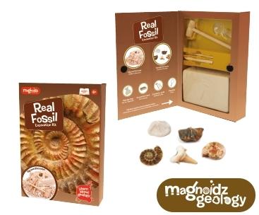 Kit paleontologie - Descopera fosile