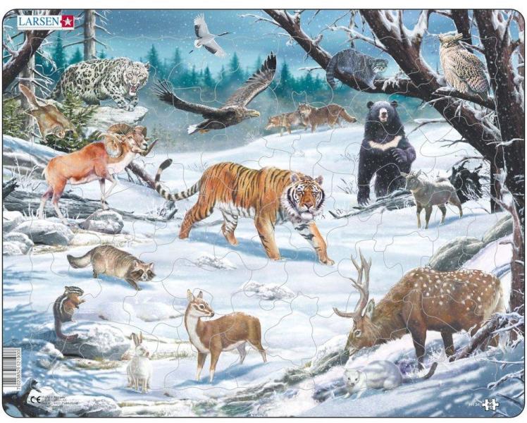 Puzzle Animale Salbatice Din Siberia Si Nord Estul Asiei 66 Piese