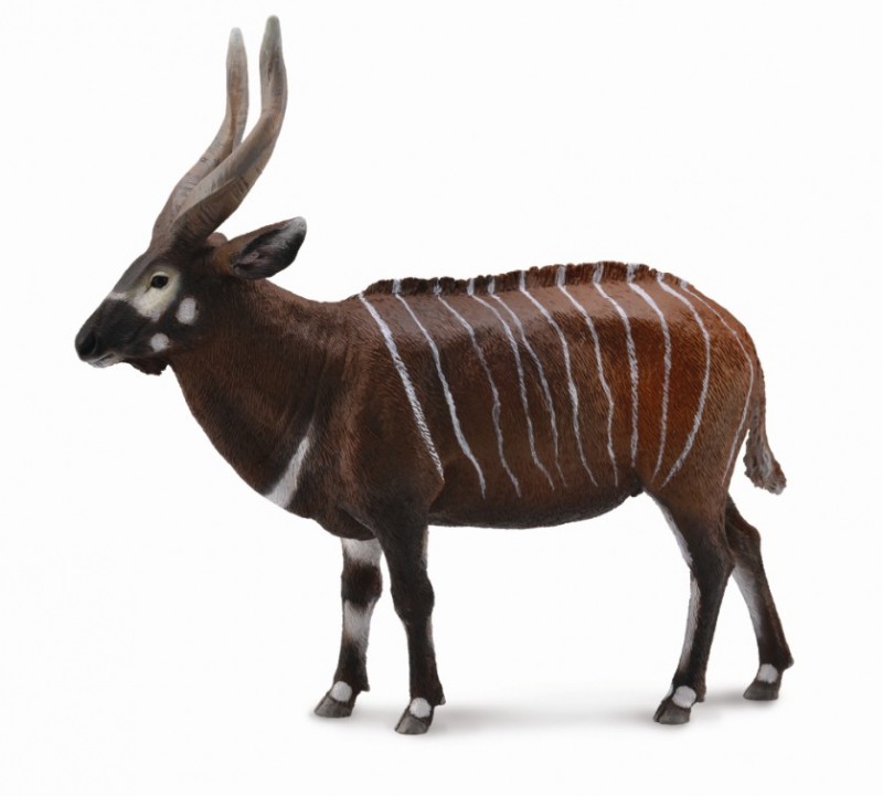 Figurina Antilopa Bongo XL Collecta