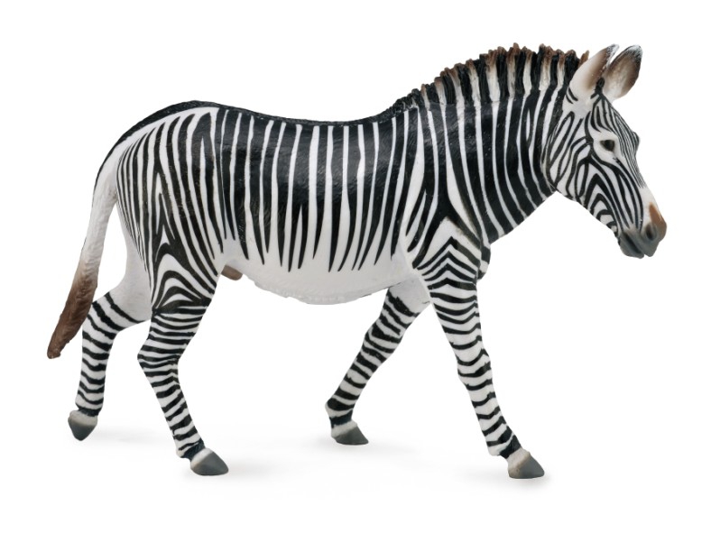 Figurina Zebra Grevy XL Collecta