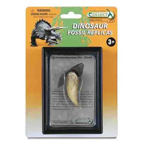 Figurina Dinte de Tyrannosaurus Rex Box Set Collecta