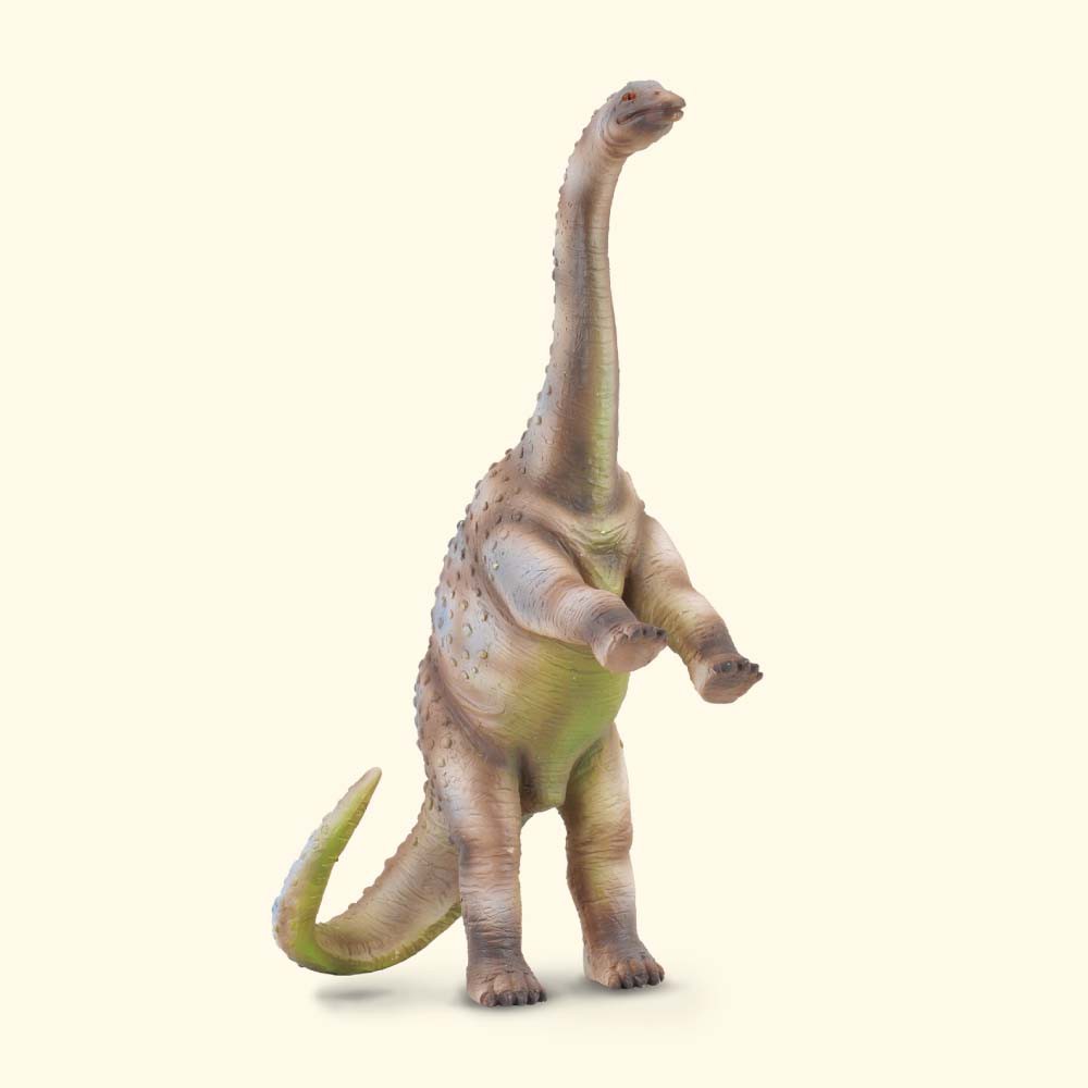 Rhoetosaurus - Collecta