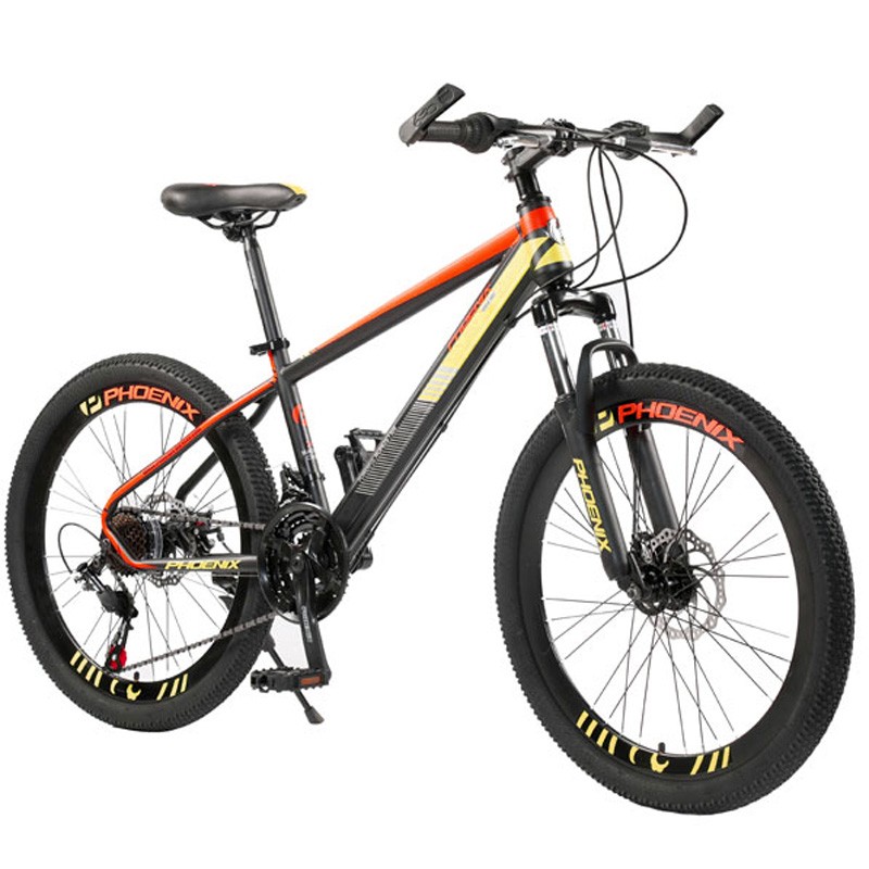 Bicicleta mountain bike cadru otel 13′, roti 20 inch, 21 viteze, schimbator shimano, suspensii pe furca cu blocator, phoenix bekid.ro imagine noua