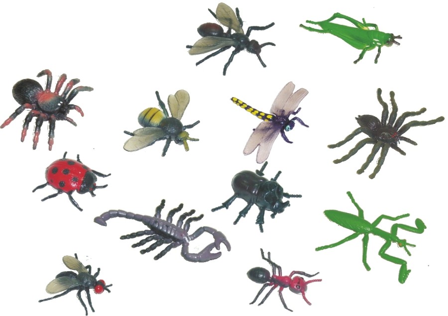 Set De 12 Figurine Insecte Miniland
