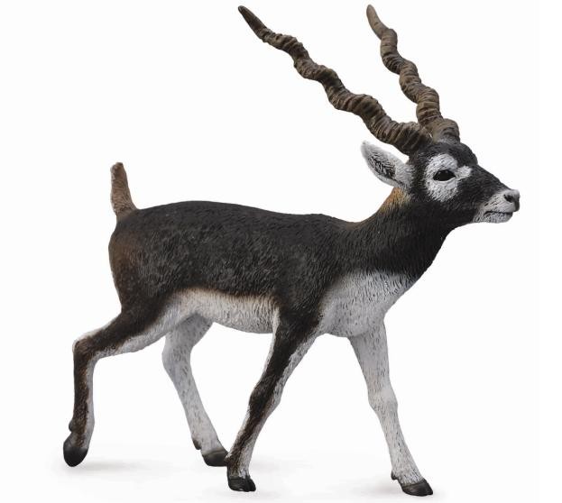 Figurina pictata manual Antilopa Blackbuck