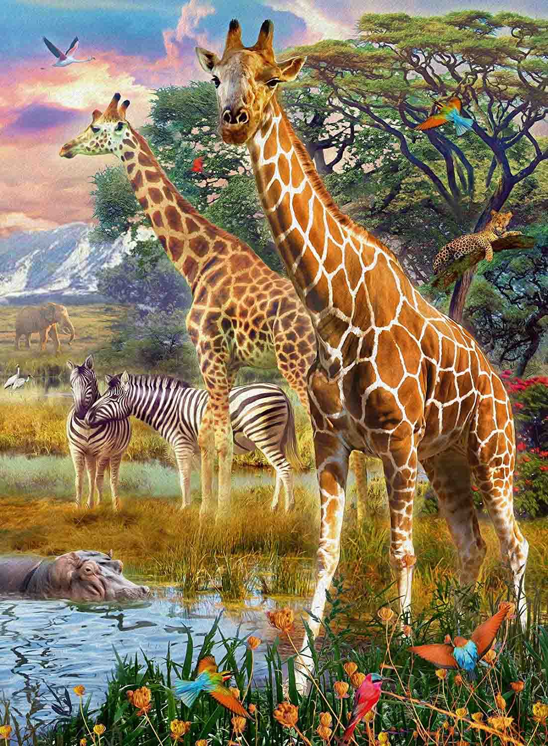 Puzzle girafe in africa, 150 piese