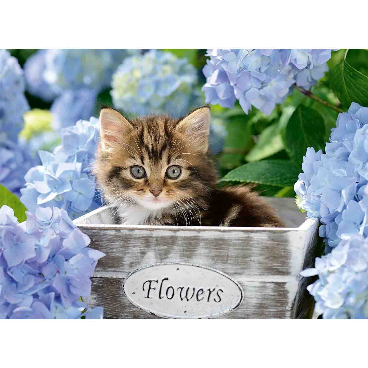 Puzzle pisicuta intre flori, 300 piese