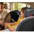 KinderKraft- Scaun auto Isofix MYWAY Grey , 0-36 kg