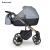 Carucior 3 in 1 Storm Grey Gold