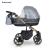 Carucior 3 in 1 Storm Grey Gold
