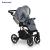 Carucior 3 in 1 Storm Grey Gold