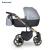 Carucior 3 in 1 Storm Grey Gold