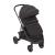 Carucior Transform 2 in 1 Black