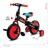 Bicicleta cu sau fara pedale si roti ajutatoare sun baby molto 014 red