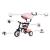 Tricicleta cu sezut reversibil sun baby 017 fresh 360 - pink