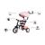 Tricicleta cu sezut reversibil sun baby 017 fresh 360 - pink