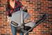 Nuna - Scoica auto i-Size ARRA Frost + baza isofix, 40 - 85 cm