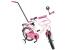 Bicicleta Copii Mykids Toma Princess Pink 12