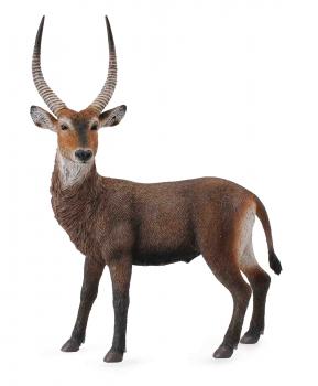 Antilopa africana- Collecta