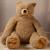 Urs de plus Childhome Teddy 60x60x76 cm