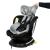 Scaun Auto Tweety Plus DELUXE BUF BOOF Black cu Isofix rotativ 360 grade 0 36 kg