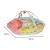 Lionelo - Salteluta interactiva Jenny cu jucarii, 130x130 cm, Multicolor