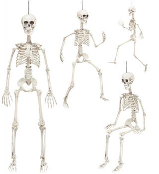 Decor schelet