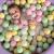 Piscina uscata cu 250 de bile (pastel roz si galben, verde deschis, alb perlat) meowbaby  , hocus crocus, 90x30 cm, catifea lila
