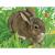 PUZZLE IN CUTIE ANIMALE, 12 PIESE