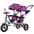 Tricicleta gemeni Chipolino 2Play lilac