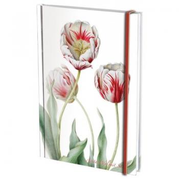 Agenda  A5 Tulipa 'Teyler' Anita Walsmit Sachs