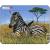 Set 4 Puzzle-uri Animale: Leu, Elefant, Maimuta, Zebra, 9 piese Larsen LRM9-NO