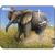 Set 4 Puzzle-uri Animale: Leu, Elefant, Maimuta, Zebra, 9 piese Larsen LRM9-NO