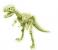 Fosila t-rex fosforescenta , sci:bits
