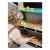 Joueco - Jucarie de lemn in lemn certificat FSC, 2 in 1, Teatru si magazin, Cu accesorii, 110 x 68.5 x 23 cm, 3 ani+, Multicolor