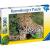 Puzzle leopard, 100 piese