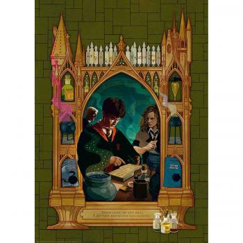 Puzzle harry potter si printul semipur, 1000 piese