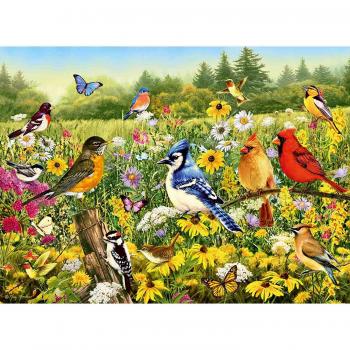 Puzzle pasarele colorate, 500 piese