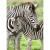 Puzzle zebre, 300 piese