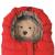Nuvita Junior Cuccioli Dog red - Sac de iarna 9605