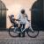 Scaun pentru copii, cu montare pe bicicleta in spate - Thule Yepp 2 Maxi Frame mounted, Aegean Blue