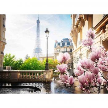 Puzzle primavara in paris, 500 piese