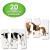 Puzzle potriveste corpul animalelor