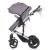 Carucior Chipolino Camea 2 in 1 graphite