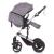 Carucior Chipolino Camea 2 in 1 graphite