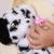 Baby paws  - jucarie interactiva dalmatian