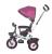 Tricicleta multifunctionala MamaLove Rider Violet