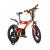 Bicicleta 163 GLN - Dino Bikes-163