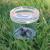 GeoSafari® Borcan pentru observarea insectelor