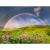 Ravensburger - puzzle curcubeu 1500 piese